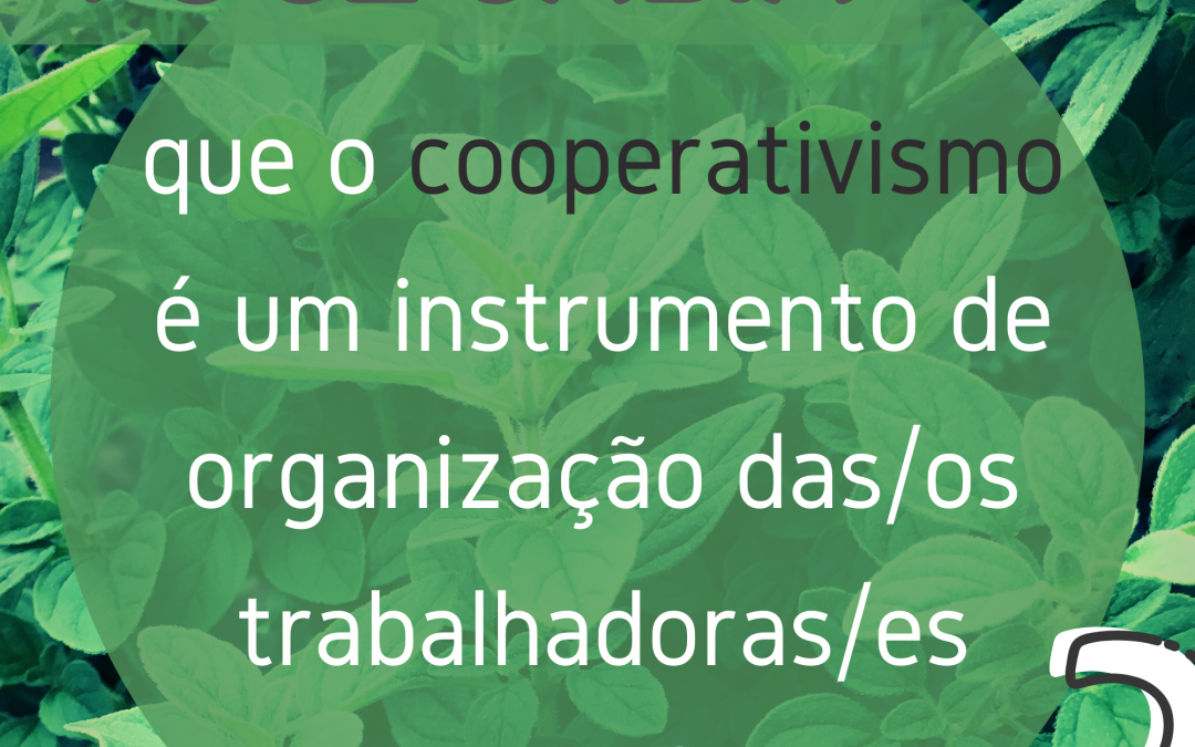 VOCÊ SABIA que o cooperativismo é um instrumento de organização das/os trabalhadoras/es do MST?