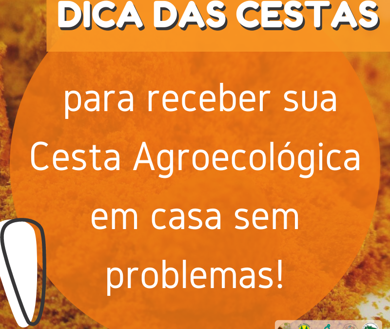 DICAS DAS CESTAS PARA RECEBER SUA CESTA AGROECOLÓGICA EM CASA!